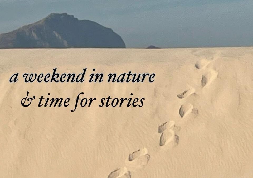 Winter Wilding: 4 – 6 July 2025