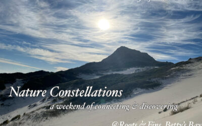 Nature Constellation – 13 – 15 March 2026